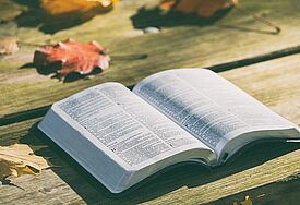 Bibel auf einem Holztisch, draußen, umgeben von ein paar Laubblättern