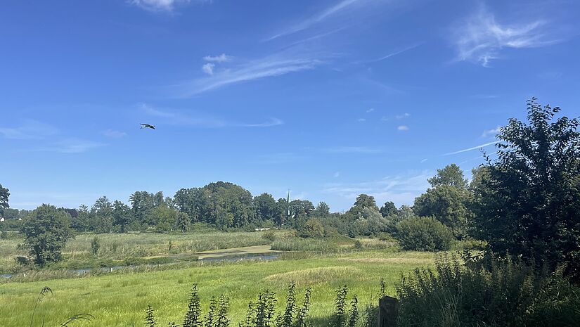 Blick in eine grüne Landschaft mit Fluss