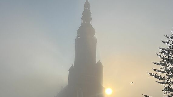 Greifswalder Dom St. Nikolai im Morgenlicht