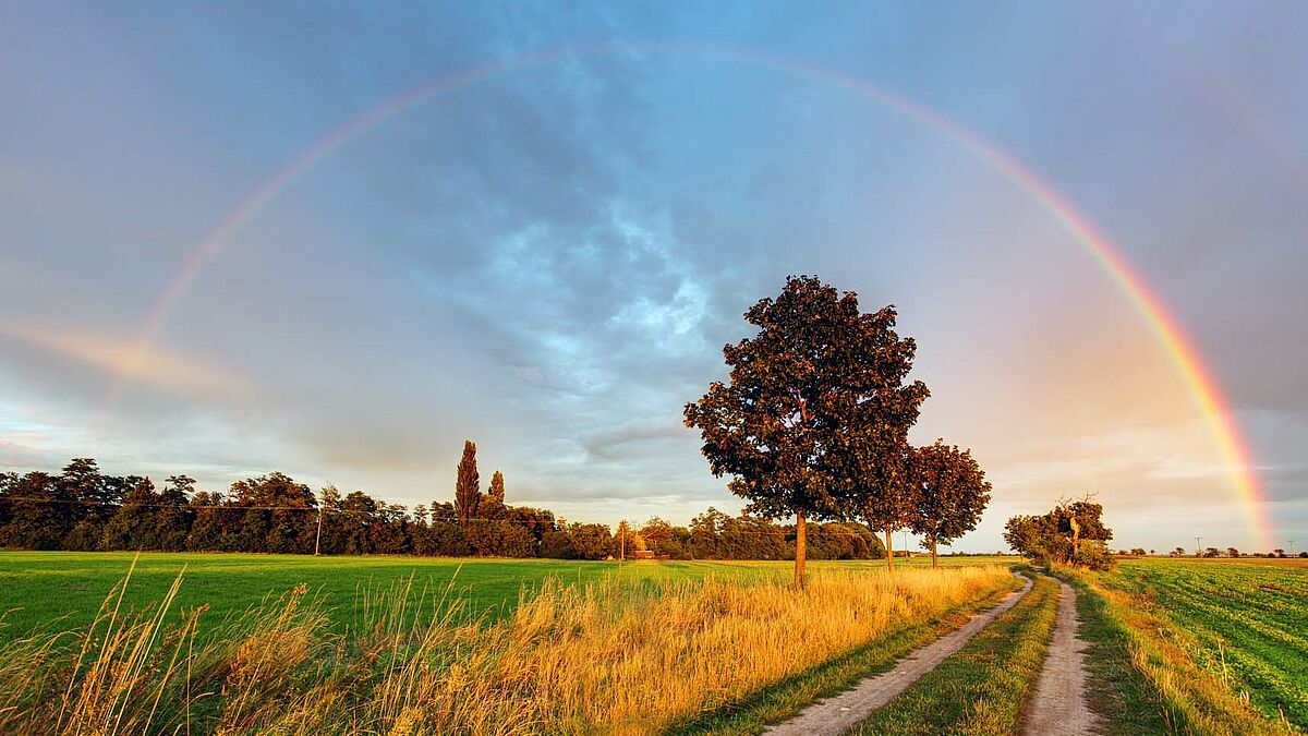 Gebetstag zur Bewahrung der Schöpfung am 1.September (Symbolbild)