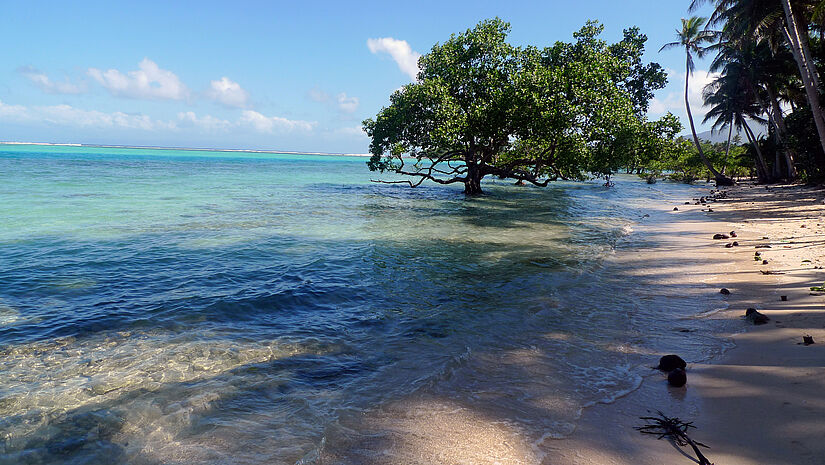 Der Klimawandel trifft den Inselstaat Vanuatu hart. 
