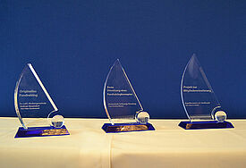 Fundraisingpreis 2013